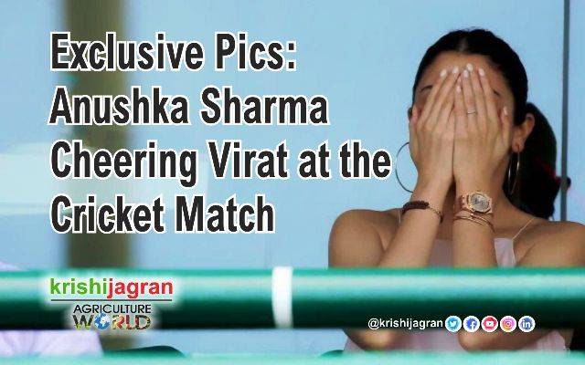 Exclusive Pics Anushka Sharma Cheering Virat At The Cricket Match