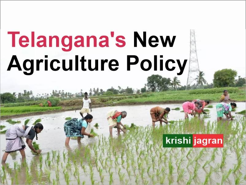 Telangana To Come Up With New Agriculture Policy For Profitable Farming