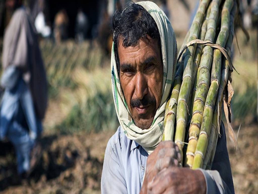 Ethanol Sale Helps Sugar Mills Earn Additional Income Clear Cane