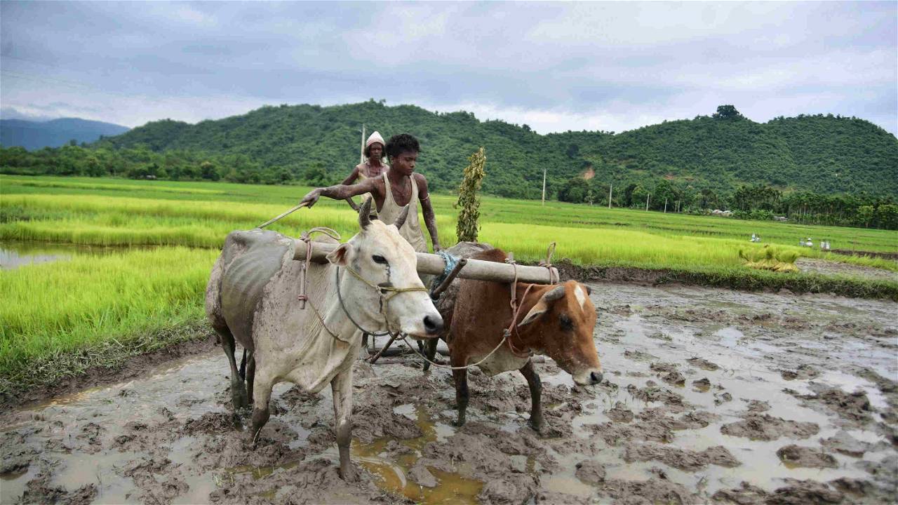 NABARD To Sanction Rs 2 1 Crore To Improve Agri Infrastructure