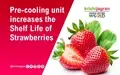 Pre-cooling unit increases the Shelf Life of Strawberries