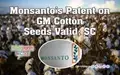 Monsanto’s Patent on GM Cotton Seeds Valid: SC