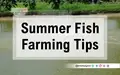 Tips for Fish farming in summer season