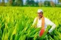 PM Kisan Latest Update: Now Farmers Will Not Be Able To Use This Facility