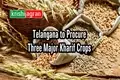 Telangana to Procure Three More Crops along with Paddy & Maize