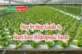 How to Start A Successful Hydroponics Farm Business?