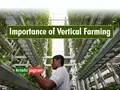 Vertical Farming is the Future of Agriculture Industry