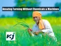 Do Farming without Tractors, Pesticides or Other Chemicals & Make ‘Banjar’ Lands Fertile; Complete Guide Inside