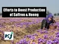 CSIR-IHBT and Himachal Pradesh Government Partner to EnhanceCultivationof Saffron, Heeng