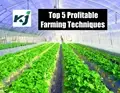 Top 5 Farming Techniques Government Should Promote More to Help Farmers Earn Extra Money