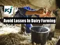 Want to be a Profitable Dairy Farmer? Follow These Steps to Avoid Losses & Earn Huge Money