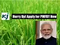 PMFBY: How Farmers Can Apply for Pradhan Mantri Fasal Bima Yojana; Step-by-Step Process Inside