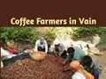 Coffee Farmers in India Facing a Major Challenge in the European Markets