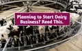 Want to Start Dairy Business? Government is Giving Cheap Loans, Check Method to Apply