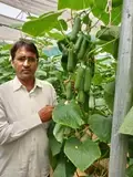 This Teacher, Farmer, State Govt Awardee Earns a Profit of 35 Lakhs a year through Cucumber Farming in Polyhouse and Open Farming