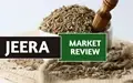 Cumin (Jeera) markets seen stabilizing; farmers advised to hold for getting better returns