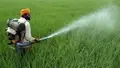 Pesticides Management Bill 2020 will hurt Indian Farmers, Agriculture; Needs review before clearance