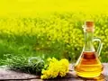 Big Decision by FSSAI: No Mixing of Other Vegetable Oils with Mustard Oil from OCT 1