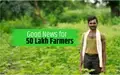 Government Disburses Rythu Bharosa-PM Kisan Installment to over 50 lakh Farmers; Direct Link to Check Status Here