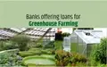Greenhouse Farming Loans: Govt. Subsidies And Method to Apply