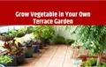 Terrace Gardening: Connect with Nature at Your Home, Grow Organic & Eat Organic!!