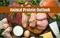 Animal Protein Consumption likely to improve in 2021