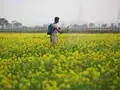 Upcoming Union Budget 2021 will be very crucial for the agriculture sector
