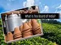 Tea Board of India: The People Behind Your Masala Chai