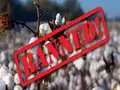 Pakistan lifts ban on Indian cotton and sugar imports