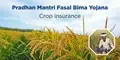 PMFBY Latest Update: Farmers can register for Pradhan Mantri Fasal Bima Yojana till July 31
