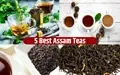 Enjoy the Rich Flavours of These Popular Assam Teas