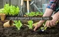 6 Most Effective Gardening Tools