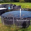 What are the Pros and Cons of Biofloc Fish Farming