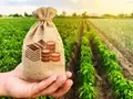 Telangana Government Transfers Rs 275.31 Crore in Farmers' Accounts