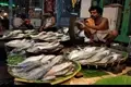 Union Government to Launch Scheme to Develop 200 Fish Product Entrepreneurs