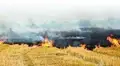 Stubble Burning: Some Sustainable Management Practices to Overcome