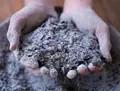 Uses and Benefits of Wood Ash in the Garden