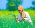 PM Kisan Yojana:  Farmers will Get Rs. 36000 along with Rs. 6000 Annually