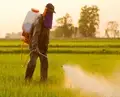 Agrochemicals Industry Seeks Enhanced Government Support for “Make in India” in 2022