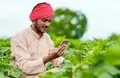 PM Kisan: Modi Transfers Rs 20,000 crores to 10 crore Farmers; Check Your Status & Payment Details Here