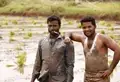 Who are these farmers, taking kiki Challenge?