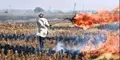70% drop in stubble fires likely this season in Punjab