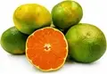 Meghalaya’s Khasi Mandarin Oranges in World’s First Food Atlas