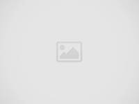 ക്രിസ്മസ് സ്പെഷ്യൽ അരി വിതരണം; വെള്ള റേഷൻ കാർഡുടമകൾക്ക് 6 കിലോ അരി