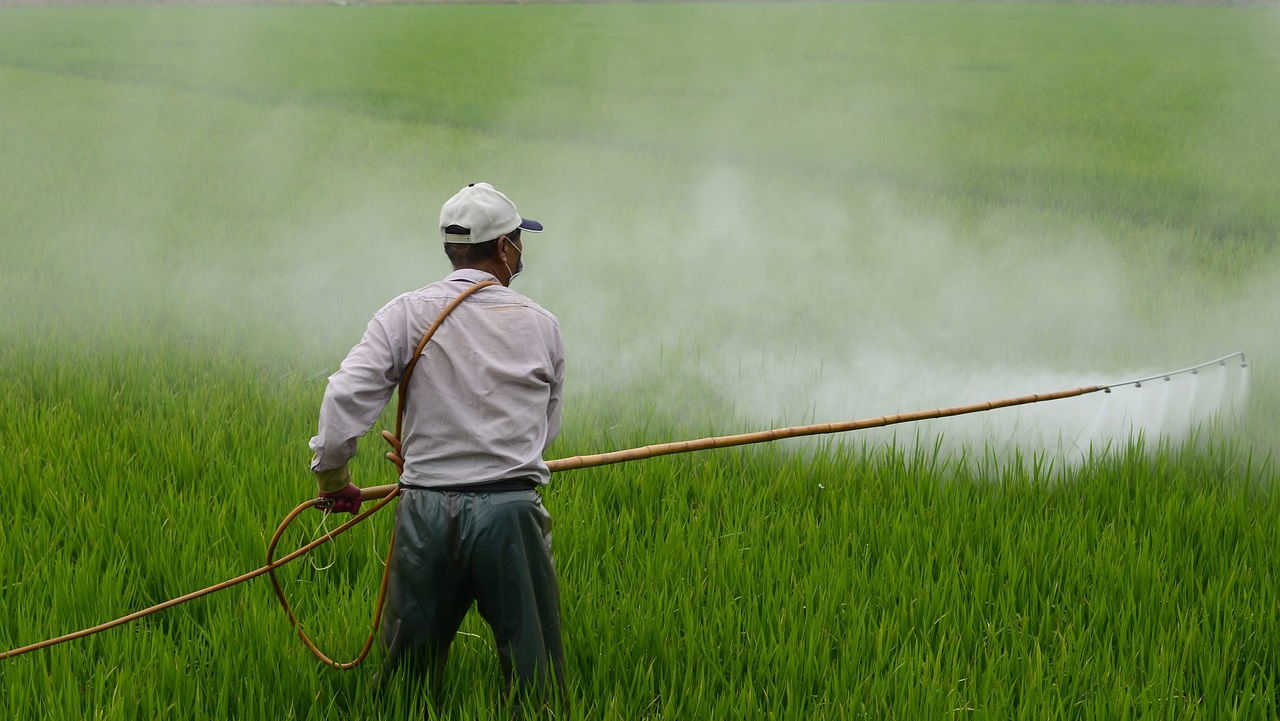 FSSAI CEO Urges States to Cut Pesticide Use, Form Safety Panels (Photo Source: Pixabay)