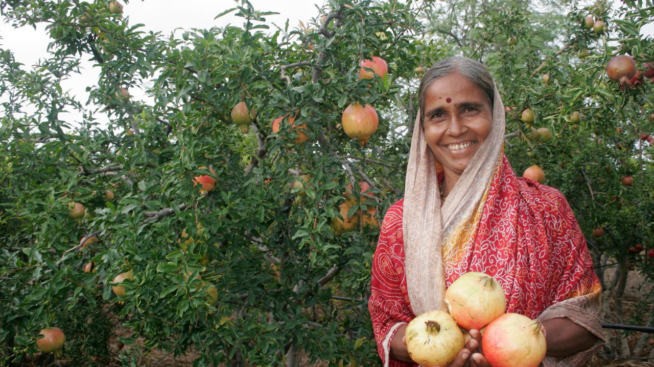 A happy women farmer holding freshly picked pomegranates