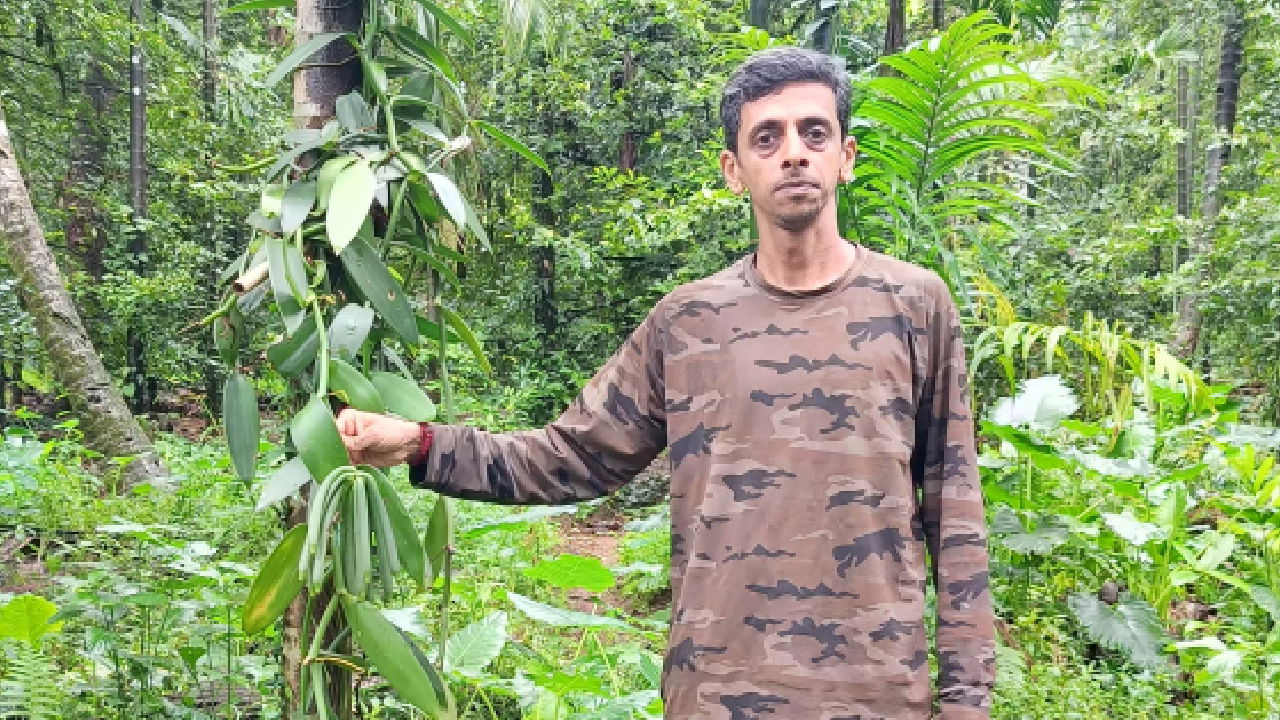 Chinmay Tanshikar in his Vanilla farm