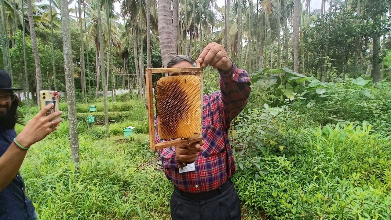 Passionate about beekeeping, SR Venkatesh nurtures his hives with care, creating a sustainable and thriving ecosystem