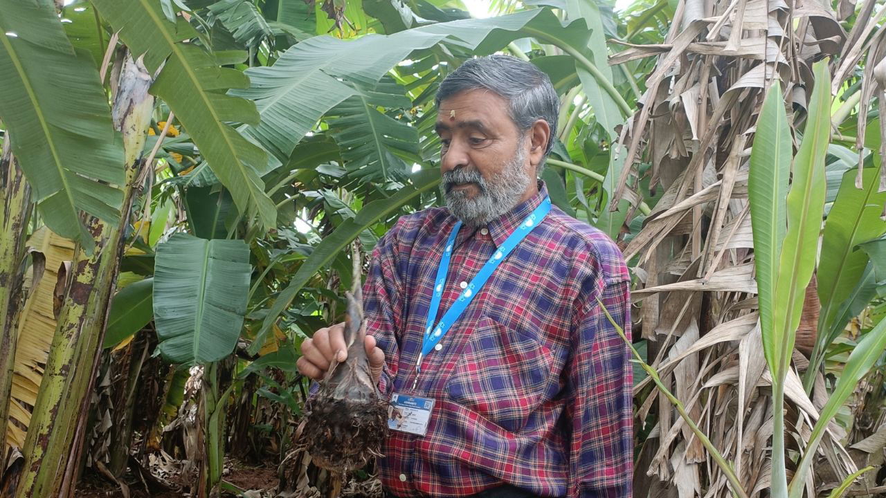 SR Venkatesh in his banana farm