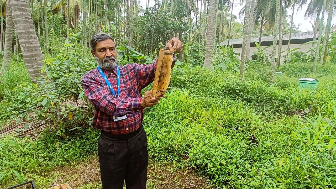 SR Venkatesh stands in his model farm, showcasing the beehive boxes that have become the cornerstone of his successful beekeeping venture